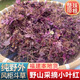 福建野生風(fēng)柜斗草風(fēng)古草風(fēng)新鮮風(fēng)斗柜草風(fēng)柜斗草 整株無硫 新鮮 250克紅葉（大禮包）野生 超劃算