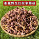 田禾萱野生松樹傘蘑菇紅蘑菇丁干紅松蘑雞血肉蘑菌菇燉煲湯干貨東北特產 精選未開傘蘑菇丁半斤裝250g