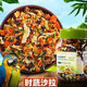 茨格曼鸚鵡鳥糧飼料虎皮玄鳳牡丹訓(xùn)練零食時蔬沙拉蔬菜干鳥食用品400ml