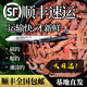 許棋杏活沙蠶 紅青蟲鱸魚餌 海螞蝗海蜈蚣海釣魚餌料海沙蠶活餌順豐 紅沙蠶泡沫盒盒(110克)