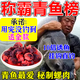 魚(yú)誘青魚(yú)餌料釣大青魚(yú)專(zhuān)用田螺肉野釣黑坑盤(pán)老板大毛老師推薦四季通用 1瓶【大螺肉】青魚(yú)最?lèi)?ài)