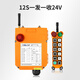戰驢禹鼎遙控器F24-12D/12S 雙速起重機行車(chē)天車(chē)工業(yè)無(wú)線(xiàn)遙控器 全套10S一發(fā)一收24V