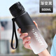 史努比（Snoopy）運(yùn)動(dòng)水杯大容量?jī)和銛y防摔小學(xué)生夏季戶(hù)外男女健身水壺旅行塑料直飲杯子500ml 黑白 6082