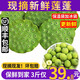 良知農(nóng)哥【順豐】現(xiàn)摘蓮蓬 蓮子蓮蓬生吃嫩蓮子鮮甜新鮮水果 湘潭蓮蓬3斤 順豐陸運丨回購多