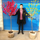 看匠梅花樹(shù)苗紅梅綠梅臘梅榆葉梅花苗室內外多年生冬季耐寒老樁盆景 臘梅 直徑1.5公分粗帶土球發(fā)貨