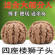 文玩核桃精品核桃四座樓獅子頭練手上色快把玩經(jīng)典盤玩手玩核桃男 四座樓獅子頭37mm帶刷子練手