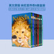 新版8冊(cè) 納尼亞傳奇英文原版小說(shuō) The Chronicles of Narnia 青少年奇幻文學(xué) CS Lewis 劉易斯