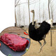 帆兒莊園  農家散養(yǎng)鴕鳥肉新鮮現(xiàn)殺腿肉去筋膜純精肉酒店食材鴕鳥肉 腿肉 2斤