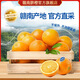 南有竹正宗贛南臍橙新鮮橙 應(yīng)季橙子 原產(chǎn)地發(fā)貨 拍2份合發(fā)一箱 佳選贛南臍橙 5斤裝凈重4.25斤單果 80- 100mm