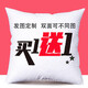 FME 抱枕定制靠墊背異枕頭沙發(fā)來圖照片diy公司logo創(chuàng)意紀念禮物睡覺 光滑亮緞布 35x35cm雙面定制-含芯