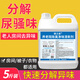 碧之道老人房間除臭劑養老院除尿騷味異味香薰室內空氣清新除味廁所噴霧 5斤除味除臭清新劑 【現貨速發(fā)】