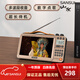 山水（SANSUI）便攜式插卡U盤隨身聽老人充電藍牙音箱迷你FM收音機聽書機視頻機戶外擴音器無線廣播半導(dǎo)體 檸檬金M35【視頻播放+便攜收音】