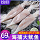 繽鮮 國(guó)產(chǎn)整只鮮凍大魷魚(yú)凈重2.9-3斤3-5條鐵板火鍋燒烤食材-源頭直發(fā)