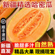 驕瑰順豐 哈密瓜新疆正宗吐魯番哈蜜瓜火焰山哈蜜瓜產地直發(fā) 新疆西州蜜哈密瓜 哈密瓜7-8斤【2-3枚裝】