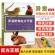 異寵藥物處方手冊 第5版 異寵疾病書(shū)籍 鳥(niǎo)病蜥蜴疾病兔病用藥指南 獸醫圖書(shū) 寵物處方手冊異類(lèi)寵物疾病管理 異寵藥物處方手冊 第5版