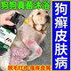 草之萃狗狗洗澡沐浴露殺菌除臭殺螨除蚤狗狗香波浴液驅蟲(chóng)止癢殺菌沐浴露 1瓶裝