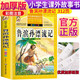 魯濱孫漂流記 注音彩繪兒童版小學(xué)生版注音版 拼音讀物青少年版 小學(xué)一二年級三年級課外閱讀書籍 兒童文學(xué)讀物7-10歲