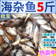 【現捕現發(fā)】青海鮮活海雜魚(yú)批發(fā)新鮮深海魚(yú)大雜燴海鮮水產(chǎn) 5斤裝 海雜魚(yú)