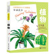 繪畫技巧（植物）彩色鉛筆繪畫從入門到精通 自學(xué)彩鉛畫入門教程書