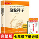 駱駝祥子 七年級(jí)下冊(cè)初一下冊(cè)必讀名著完整版人教版教材配套閱讀 送閱讀核心考點(diǎn)手冊(cè)