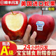 帆兒莊園順豐美國進(jìn)口紅蛇果大果紅蘋(píng)果A級+新鮮 4個(gè)裝