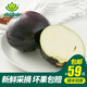 小湯山 圓茄子 約400g  新鮮蔬菜當天采摘北京農場(chǎng)順豐到家