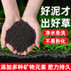 奈寵水草泥生態(tài)魚缸專用水草泥凈水造景底砂水草種子免洗營養(yǎng)土 水草泥5斤*1袋 +送小對葉種子