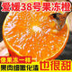 果益壽 四川愛(ài)媛38號果凍橙 新鮮水果柑橘橘子桔子中秋禮品水果禮盒裝 果凍橙3斤【JD快遞】?jì)糁?250g