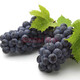 振億沭云南無(wú)籽夏黑葡萄顆粒無(wú)籽葡萄 當季孕婦水果新鮮遼峰葡萄 凈重 1.8斤 【單果7-9g】 顆顆甄選 顆顆甄選