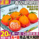 老樹大果 正宗四川春見耙耙柑20斤新鮮水果橘當(dāng)季丑桔子整箱9 9斤 A+級中大果丨單果75-80mm正宗產(chǎn)地，無核無渣