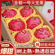 譯優(yōu)農(nóng)海南紅心火龍果新鮮當(dāng)季熱帶水果金都一號蜜寶火龍果 凈重4.5-5斤大果【精選裝】