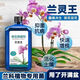 蘭靈王蘭花專(zhuān)用肥料多箭促芽催花君子蘭EM菌蘭陵王蘭花專(zhuān)用營(yíng)養液 正品原裝 蘭靈王525毫升*1瓶