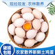 我老家農(nóng)家散養(yǎng)雞蛋 現(xiàn)撿新鮮谷物蛋土雞蛋 50枚2000g