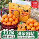 臺州正宗臨海涌泉蜜桔10斤禮盒當季新鮮水果蜜桔無(wú)核高山橘子 涌泉蜜桔帶箱10斤