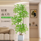 臨雅南天竹仿真綠植室內大型盆栽高端輕奢假花樹(shù)客廳仿生植物落地擺件 1.8米丨四桿南天竹+白四方盆