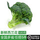 綠食者 新鮮西蘭花500g 青花菜 綠花菜 花椰菜 時(shí)令蔬菜