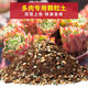 沃思林30斤多肉植物顆粒土營(yíng)養土純顆粒鋪面石植物綠植思威博 10斤多肉通用70%顆粒土【精配】