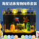 海星寵物飼養(yǎng)套裝桌面造景觀賞解壓迷你寵物海星海底生物兒童禮物 [比奇堡套餐]派大星兩只(大缸）