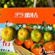 尋橙姑娘江西尋烏蜜桔皮薄多汁無(wú)籽青橘新鮮水果源頭直發(fā)禮盒包裝 5斤薄皮【大果】