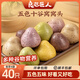 良芯匠人五色十谷窩窩頭400g/袋 粗糧雜糧代餐主食早餐速食面點 五色十谷窩窩頭4包40個