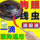 瑞美貝狗狗眼線蟲眼藥水眼睛紅腫充血流膿流淚結(jié)膜角膜炎狗白內(nèi)障滴眼液 單瓶裝