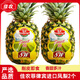 佳農(nóng)佳農(nóng) 菲律賓進(jìn)口鳳梨大菠蘿（JD到家多地次日達(dá)）當(dāng)季削皮即食 2個(gè)裝【大果】單顆約1050g