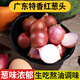 良知農(nóng)哥 廣東新鮮紅蔥頭 小圓蔥頭 熬油香蔥頭 農(nóng)家小洋蔥毛蔥 健康輕食 2斤