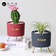 九千谷多肉花盆 輕奢北歐多肉植物花盆陶瓷現代時(shí)尚簡(jiǎn)約 矮款花架6270