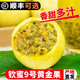 生鮮百香果特大果欽蜜9號孕婦新鮮水果雞蛋果 特選5斤裝69-100克特大果-普郵