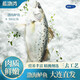 藍(lán)渤灣 鹽鮮渤海鱸魚生制品 大連地標(biāo)生鮮鮮燉魚年夜飯 海鮮年貨500克 海鱸魚500克*4