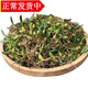辰實(shí)【現(xiàn)貨】廣東新鮮石橄欖草 雙葉石仙桃 現(xiàn)采石橄欖 雙葉小號(hào)石橄欖500克