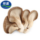 聽(tīng)蔬 新鮮蘑菇 平菇1斤 無(wú)農殘 基地直發(fā) 孕老幼放心食材 500g