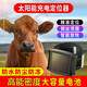 魄冰（pobing）牛羊馬太陽能gps定位器防水防凍北斗跟蹤追蹤器放牧防丟定位神器 2萬毫安+4G盒子款+防水+終流量