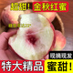 頭茬山東蒙陰金秋紅蜜水蜜桃子脆甜5斤大果密應當季新鮮水果整箱 2斤單果【單果200g士】